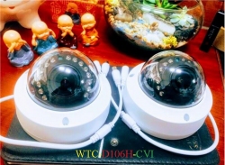 Camera CVI WinTech WTC-D106H-CVI Độ phân giải 2.0MP 