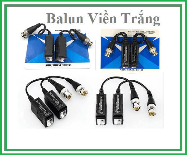 Balun Viền Trắng